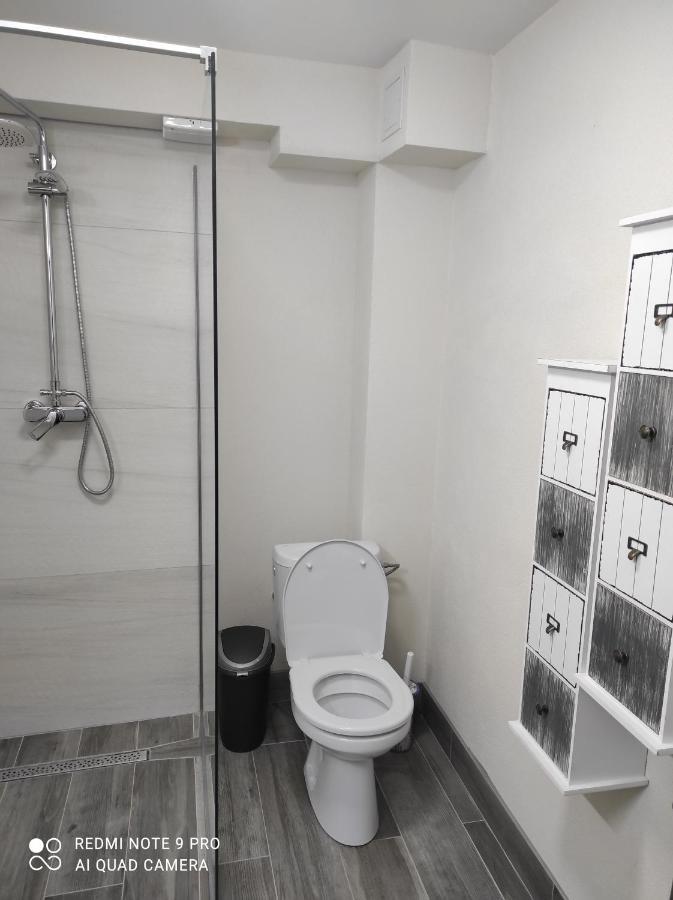 Cozy Loft Apartament Sighetu Marmaţiei Eksteriør billede