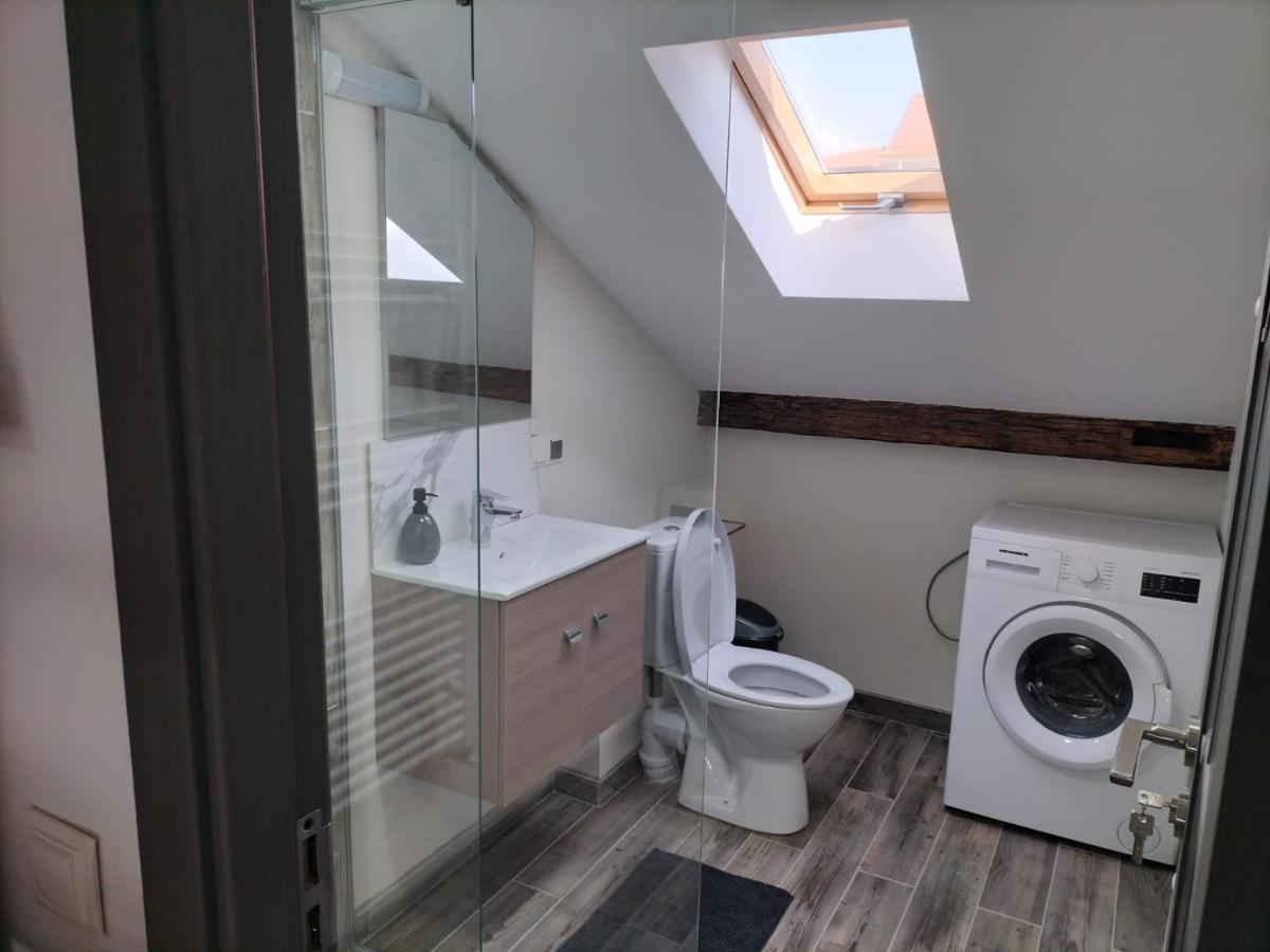 Cozy Loft Apartament Sighetu Marmaţiei Eksteriør billede
